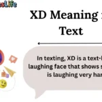 XD Meaning in Text
